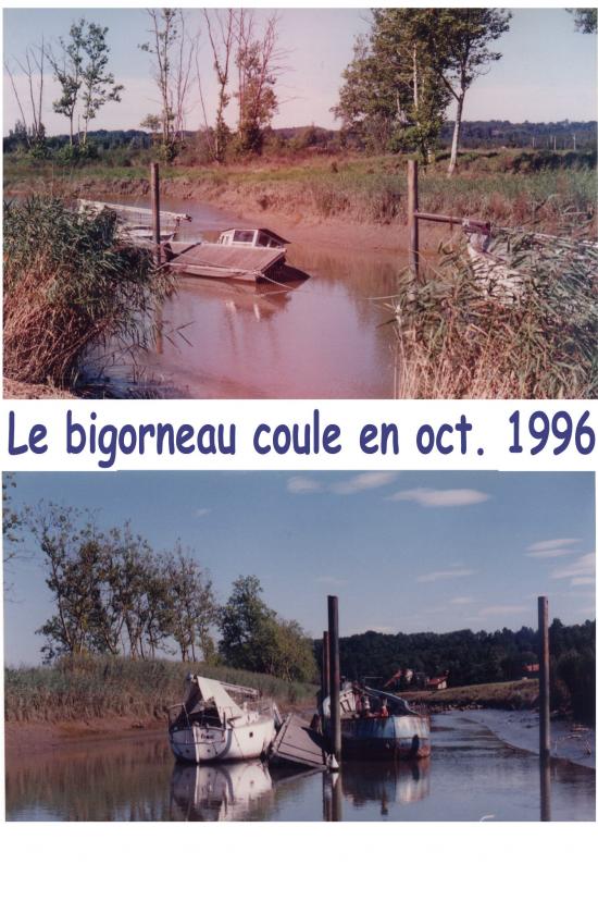 Bigorneau 96